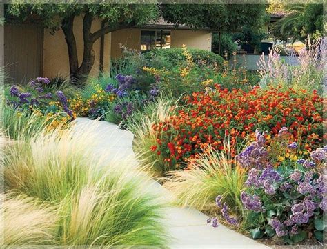  Xeriscape Gardening  A Blooming Odyssey Through Drought-Resistant Design 