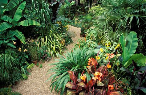  Landscaping with Tropical Plants: A Journey into Mexico's Vibrant Flora